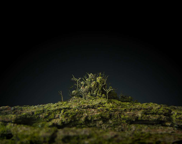 Plantage, Music Video