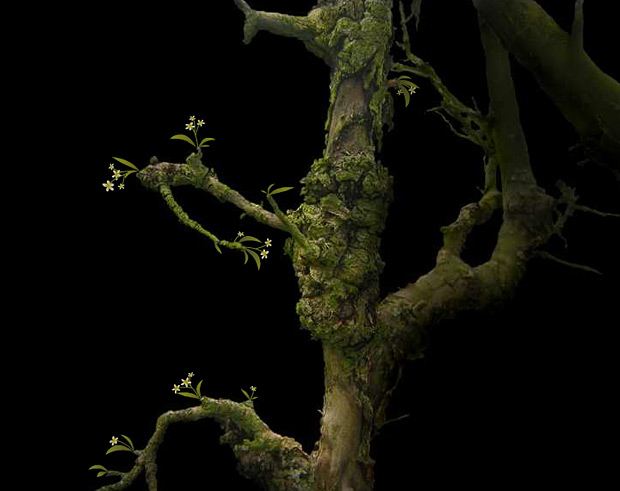 Plantage, Music Video