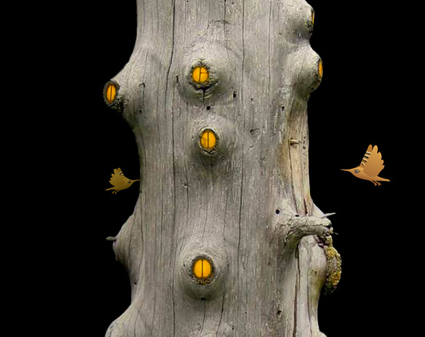 Plantage, Music Video