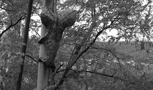 Podvědomím, Flash Website