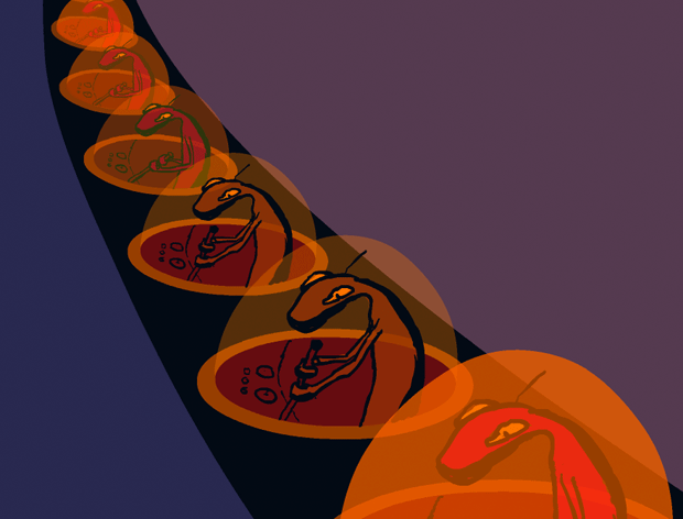 Psyride, Psytrance Music Video